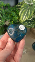 Blue Apatite Hearts