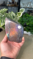 Purple Flash Labradorite