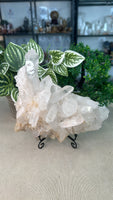 Clear Quartz cluster