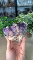 Amethyst Cluster