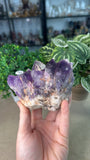 Amethyst Cluster