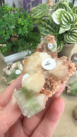 Green Apophyllite (watermelon apophyllite)