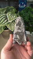 Picasso Jasper dragon head