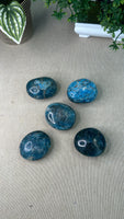 Blue Apatite Palm Stones