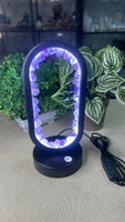 Amethyst Lamp