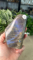 Labradorite Free Form