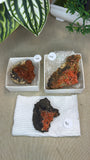 Crocoite From Adelaide Mine