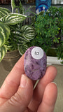 Atlantisite Palm Stones