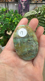 African Turquoise Palm Stone
