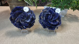 Sodalite Roses