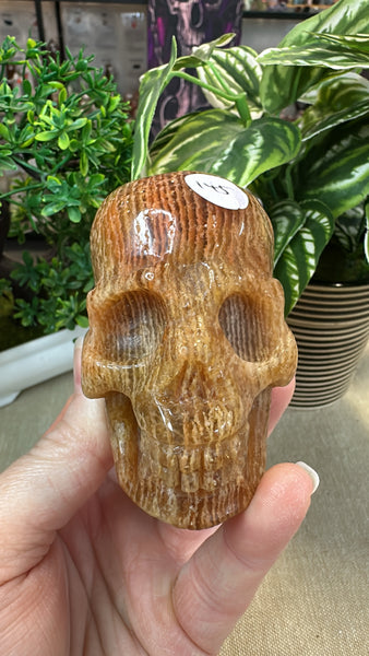 Thousand layer skull