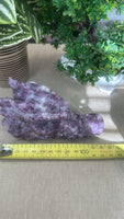 Purple mica dragon head