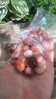 Mini Carnelian Tumbles/ large chips