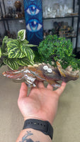 Ocean Jasper Triceratops