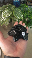 Obsidian Turtle