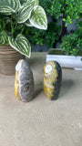 Bumble Bee Jasper Free Forms