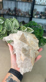 Clear Quartz cluster