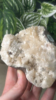 Zeolite Cluster