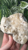 Zeolite Cluster