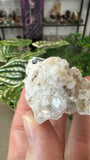 Analcime from Lottah Tasmania