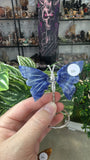 Small Butterfly Wings
