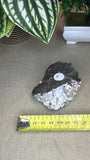 Apophyllite