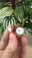 Citrine Double terminated points