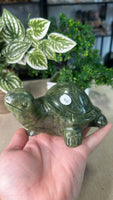 Green Jade Turtle