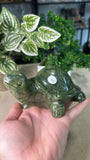 Green Jade Turtle