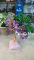 Amethyst Money Tree with Rose Quartz Base