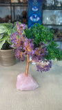 Amethyst Money Tree with Rose Quartz Base