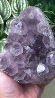 Amethyst Cluster