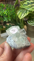 Raw fluorite cube on matrix