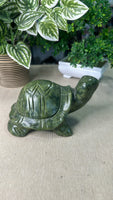 Green Jade Turtle