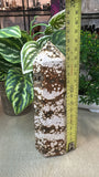 Ocean Jasper Tower