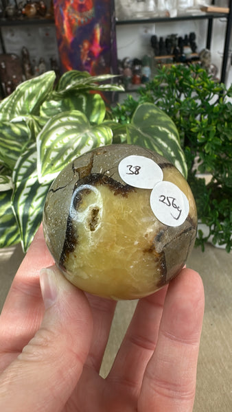 Septarian Spheres