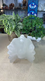 Selenite Dragon Head
