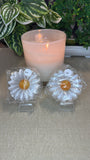 Selenite Daisies