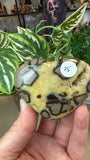 Septarian Hearts