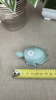 Caribbean calcite turtle