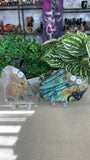 Labradorite Slices