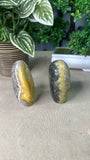 Bumble Bee Jasper Free Forms