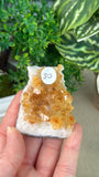 Citrine Clusters