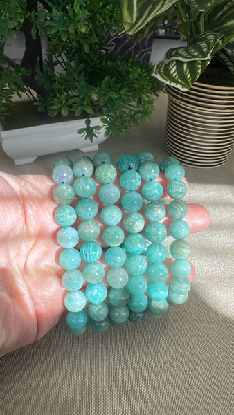 Amazonite Bracelets 10mm