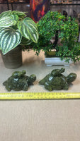 Green jade turtle with babies (small)