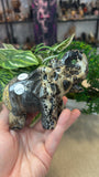 Picture Jasper Elephant