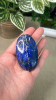 Lapis Palm Stone