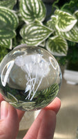 Glass Sphere with Roses