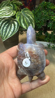 Ocean Jasper Turtle