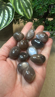 Black moonstone tumbles (medium)